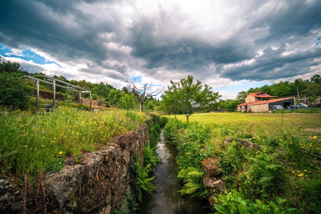 Casa da Várzea - Serra da Estrela Fornos de Algodres Exterior foto